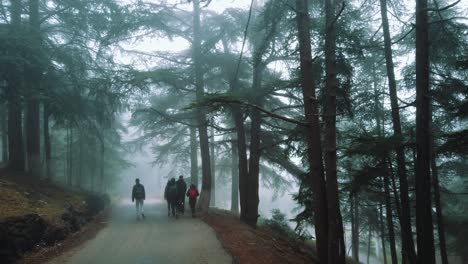 group of people walking inside forest , in asphalt road , foggy weather , in chrea national park - algeria
