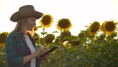 una estudiante camina a través de un campo con grandes girasoles y escribe información sobre ello en su tableta electrónica en la naturaleza.