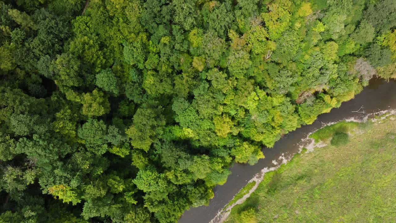 vista aérea del bosque y el río
