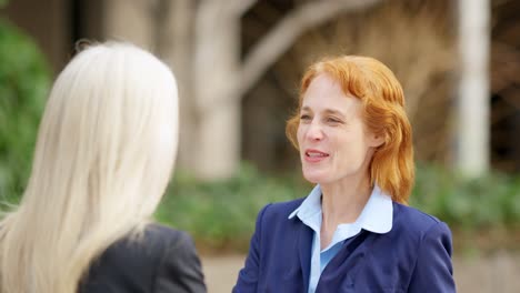 two women having a professional conversation outdoors