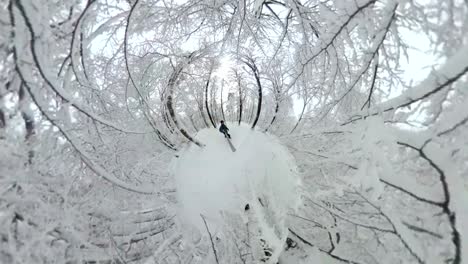 man walking through beautiful winter forest, vr360, 360vr, 360 video, 360 degree, vr, little planet effect