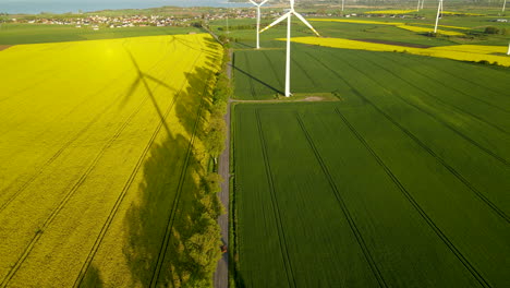 rural road with yellow and green field, wind turbines spinning, shadow