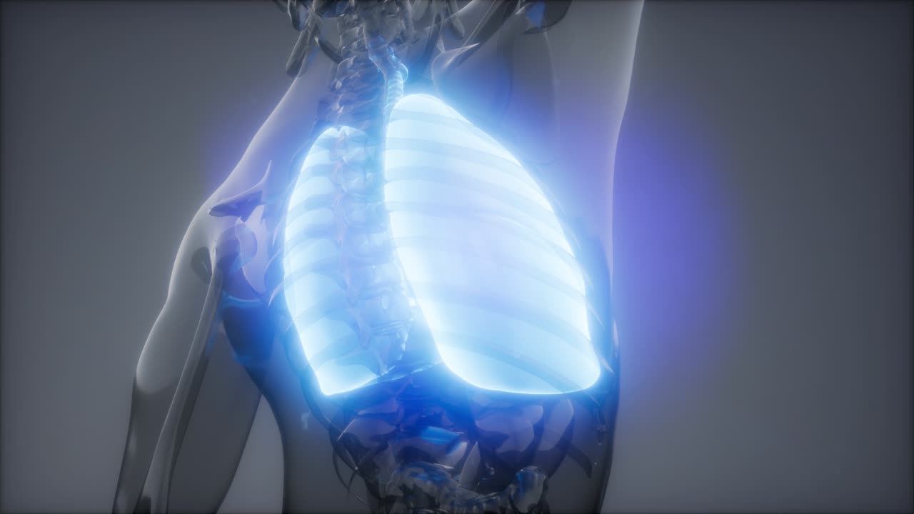 인간의 폐 방사선 검사