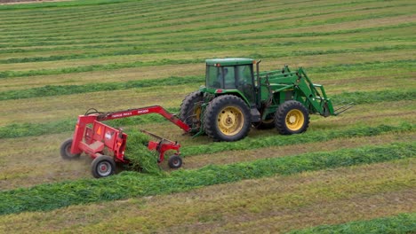 golden harvest: aerial scene of tedding, raking, and a green tractor in circular fields of british columbia