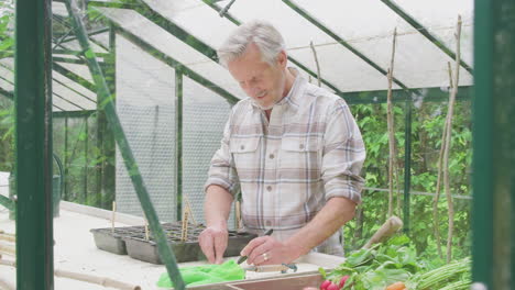 Senior-Man-Writing-Labels-For-Plants-In-Seed-Trays-In-Greenhouse