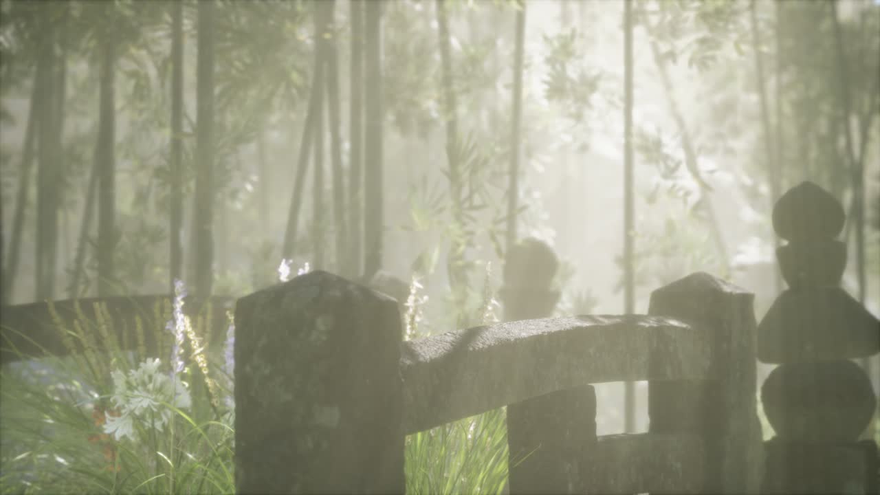 일본 대나무 숲 과 녹색 초원 잔디 와 자연 빛