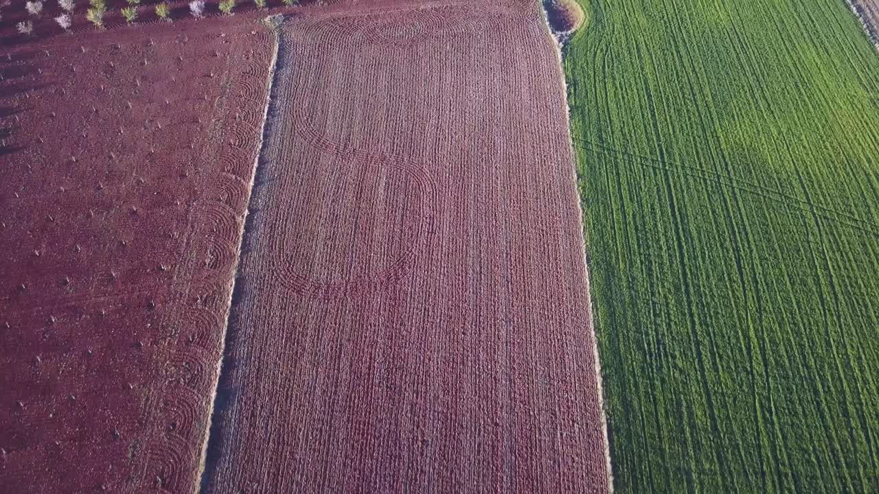 vista aérea de algunos cultivos divididos en el sur de españa.