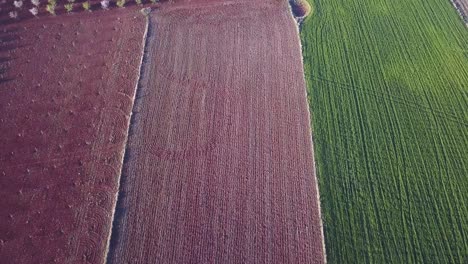aerial view over some divided crops in the south of spain
