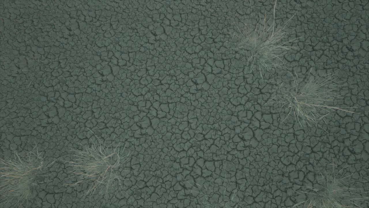 Dry Cracked Earth With Sparse Dead Grass, Climate Change Concept