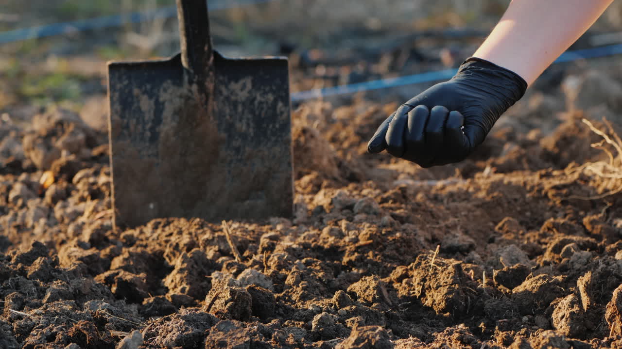 la mano del granjero en un guante vierte fertilizantes químicos en el suelo