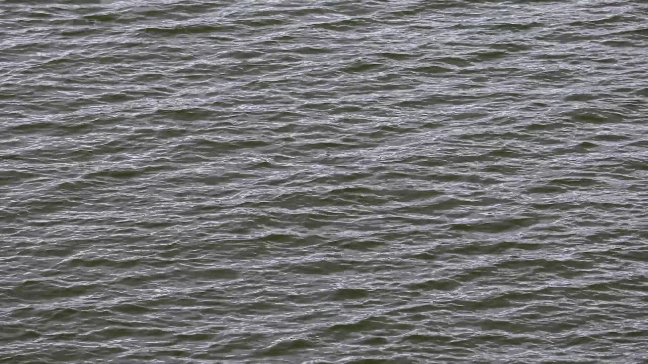 태국의 kaeng krachan 국립 공원에 있는 저수지에서 물을 닫습니다