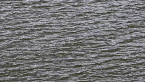 Close-up-of-Water-at-a-Reservoir-at-Kaeng-Krachan-National-Park-in-Thailand