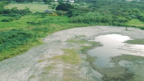 Aerial-view-footage-of-a-swamp-lake-river-with-green-grass-in-a-rural-area-of-south-africa