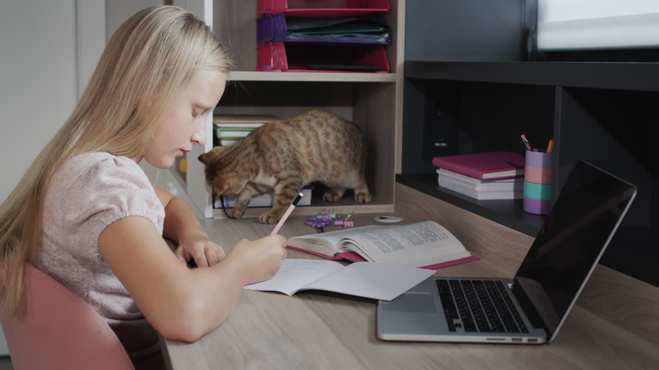 The child writes in a notebook, next to a laptop and an assistant cat. Homeschooling