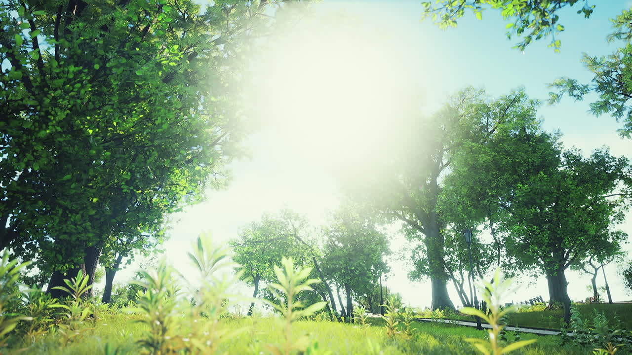 코로나19 코로나바이러스 봉쇄 중간에 매우 조용하고 비어있는 공원