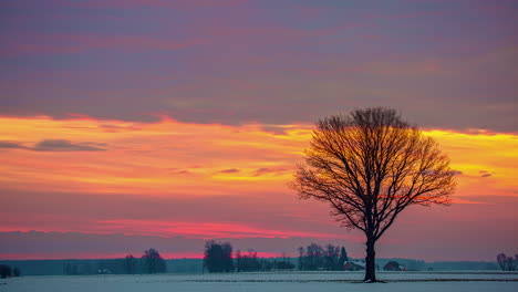 un prado de invierno con un solo árbol detrás del cual pasa una brillante puesta de sol naranja-amarillo