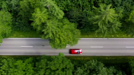 fast driving red car driving through a green forest, atracked straight from above as a drone top down shot