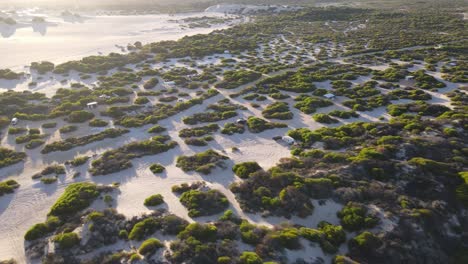 Antena-De-Drones-Moviéndose-Sobre-Un-Campamento-Junto-A-La-Playa-En-Dunas-De-Arena-Durante-El-Amanecer