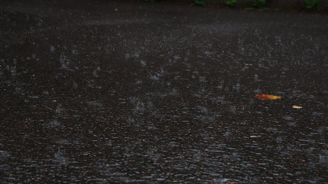 Rainstorm hitting hard on the asphalt