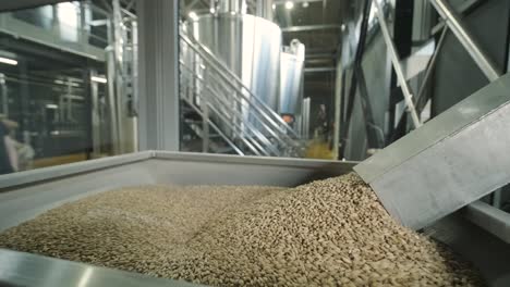 modern craft brewery. malt for beer production. craft beer brewing. modern equipment at the brewery.