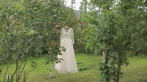 The-bride's-dress-hangs-on-an-apple-tree.-Very-beautiful-and-elegant.-Wedding