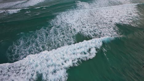 surfers riding the waves at palm beach in gold coast, queensland, australia - drone shot