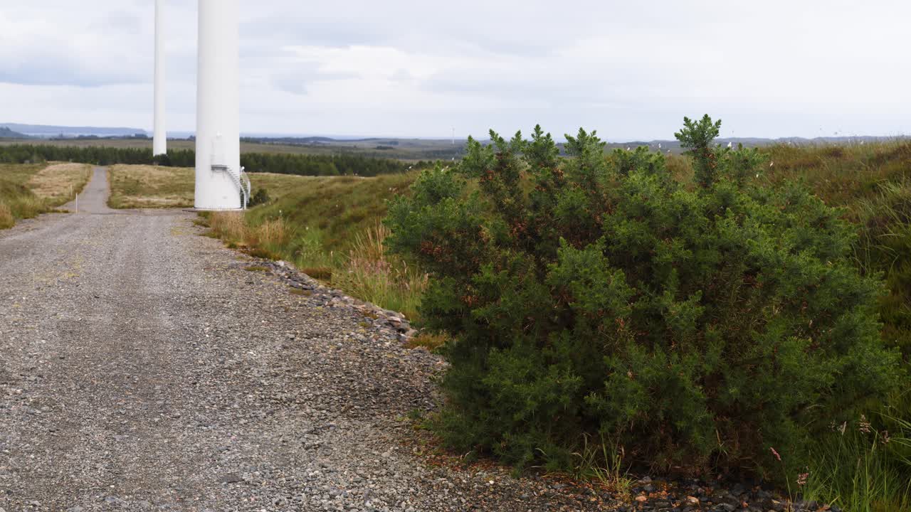 disparo de un arbusto en una granja eólica