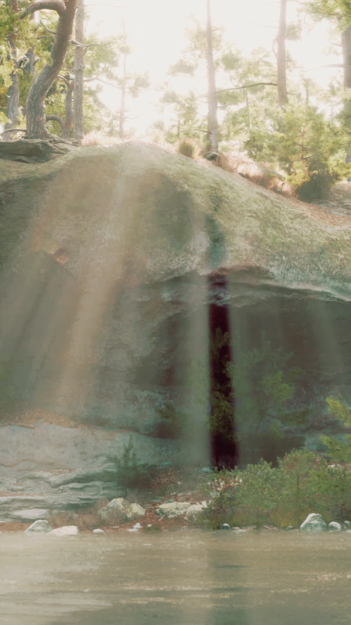 la luz del sol fluye a través de los árboles del bosque y las rocas