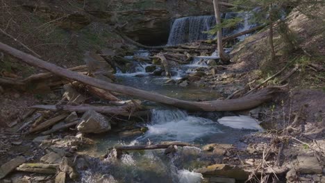 Ein-Ruhiger-Waldbach-Fließt-Sanft-über-Felsen-Und-Umgestürzte-Baumstämme