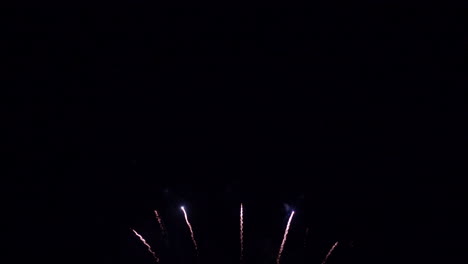 fuegos artificiales coloridos explotan en el fondo del cielo oscuro