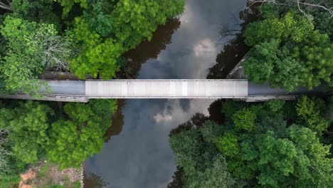 overhead view of wooded biking path