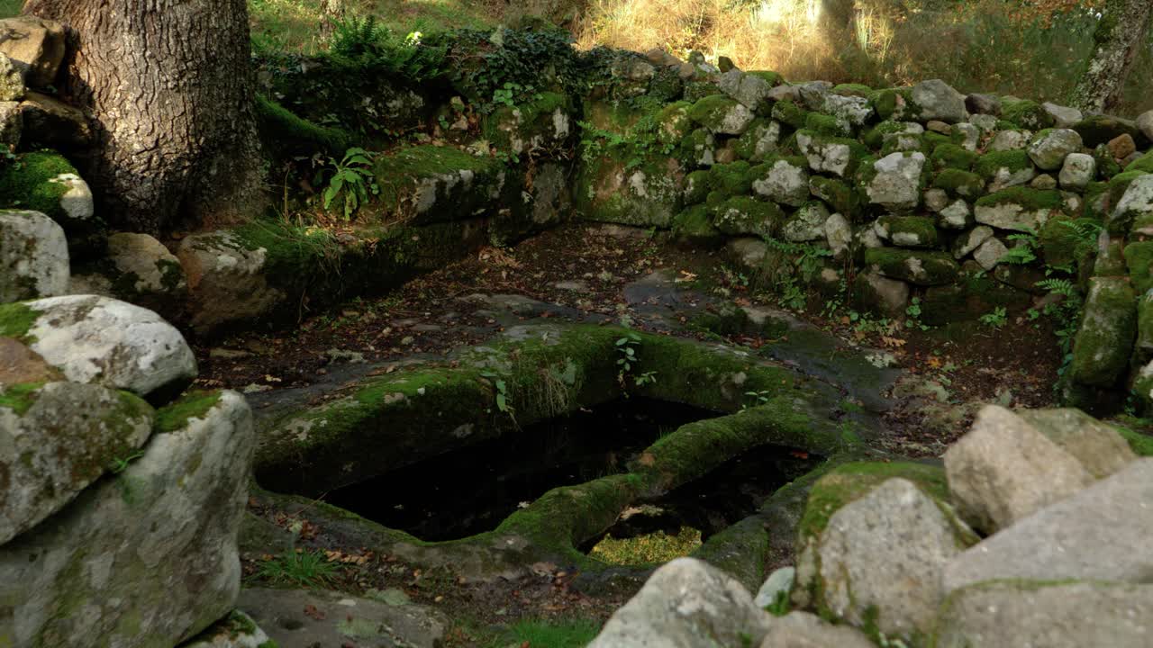 Close-up of ancient stone fountain surrounded by greenery in Santa Mariña de Augas Santas, Allariz, Galicia