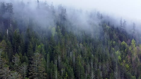 aerial slow orbiting view of dark mountain forest with moody white clouds in vosges, france 4k