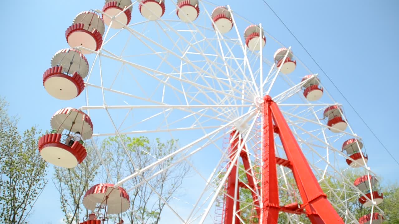 Ferris in spring park