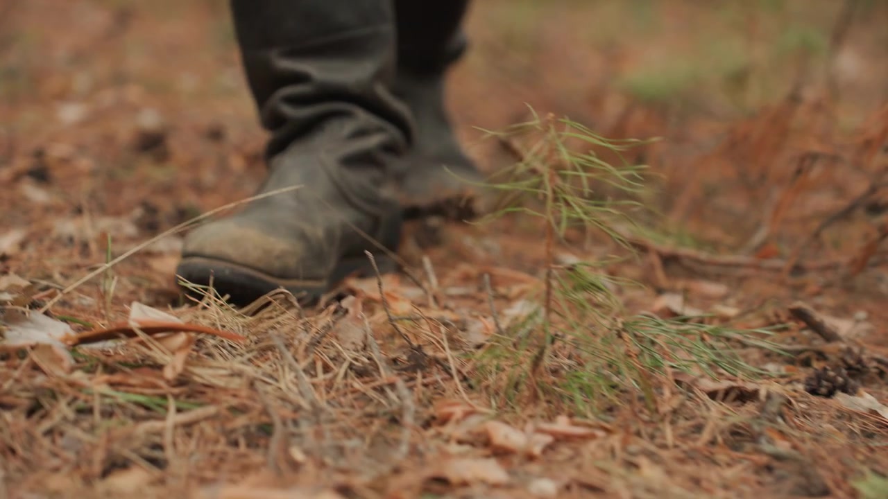 Close low angle view shows booted feet walking across dry pine needle covered forest ground, one boot planted with tread contact while other lifts mid step, emphasizing natural forward movement