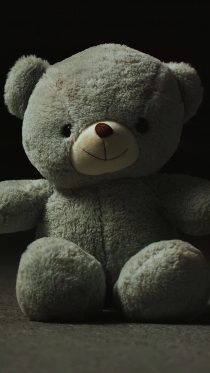 En blød bamse, der sidder alene i mørket
