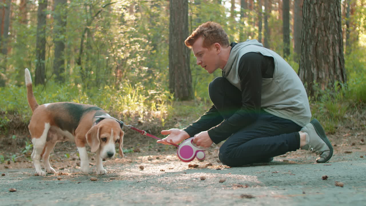 숲 공원에서 보행하는 사람 비글 개