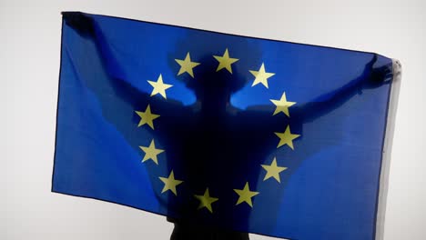 person holding european union flag