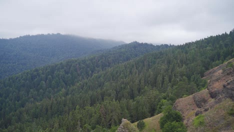 forest view from behind the cliffs.