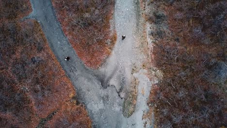 aerial top down following shot of a couple and friend that diverge on two paths separated by dead shrubbery