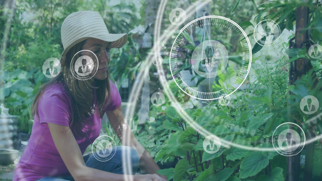 Woman gardener kneeling in garden checking plants while HUD circles appearing and overlaying bed