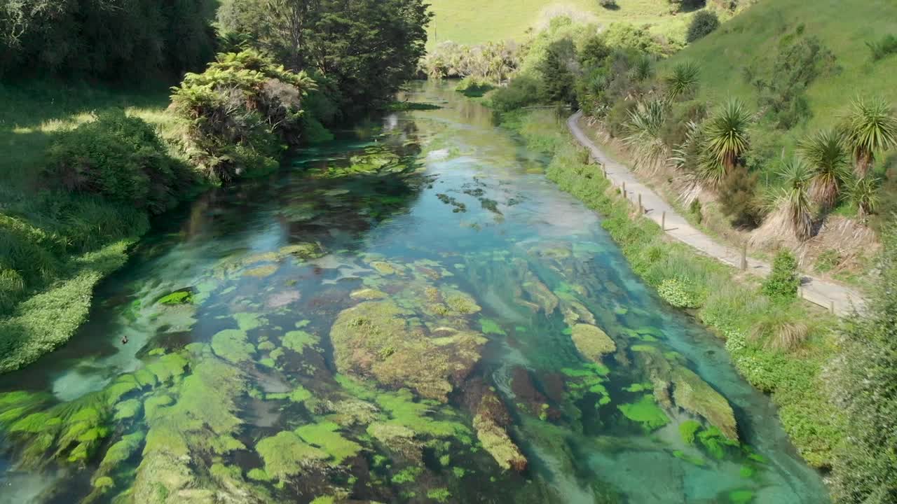 volando sobre la corriente de agua dulce de putaruru de primavera azul en nueva zelanda
