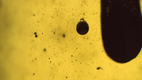 limo oscuro burbujeando de una manera espeluznante en un brote de experimento de ciencia líquida amarilla cierre dramático