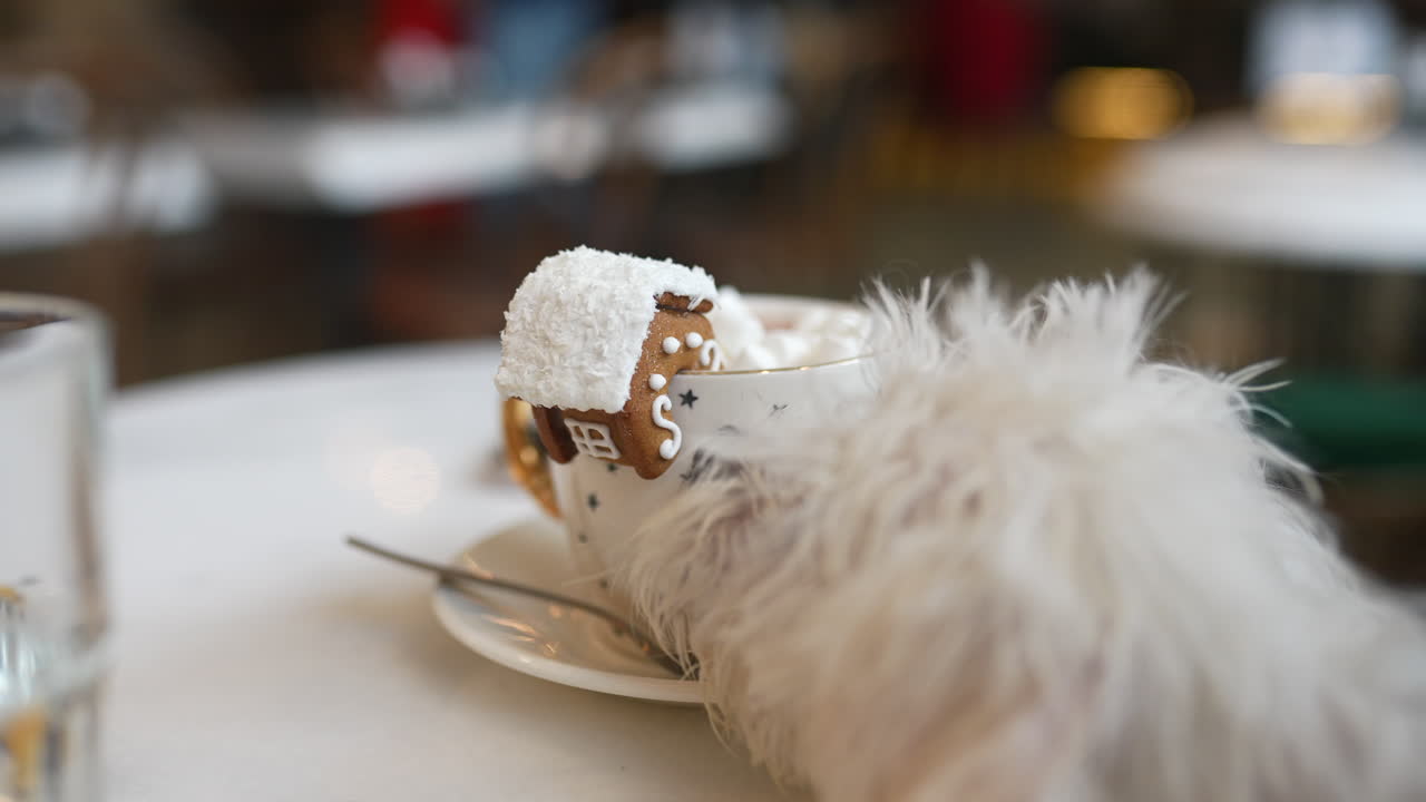 casa de pan de jengibre chocolate caliente con perro