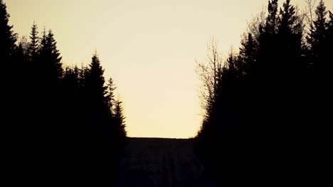 Cielo-Naranja-Con-La-Silueta-De-Pinos-A-Los-Lados-De-Una-Carretera