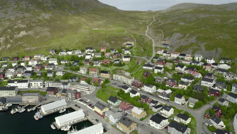 Gründungstrieb-Der-Nordstadt---Honningsvag---Norwegen