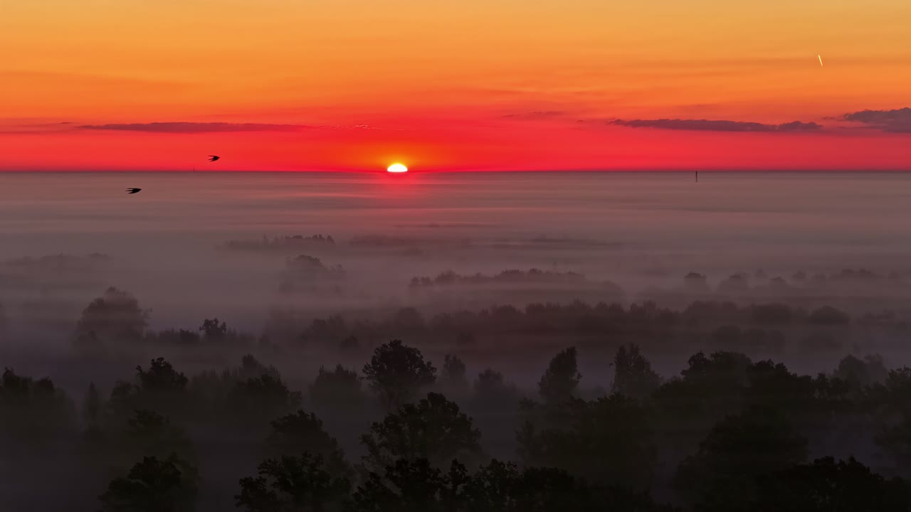 Sunrise colors the sky red above a misty forest, creating a peaceful natural scene