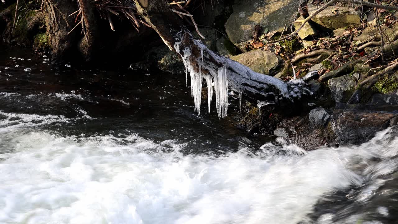 hielo en un tronco de árbol en un arroyo en el invierno