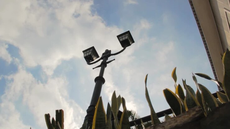 Street lamp with some nature of a sunny day