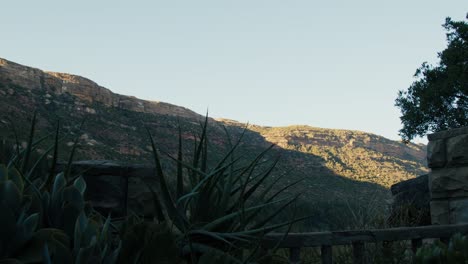 Paisaje-Africano-Temprano-En-La-Mañana-Con-Fondo-De-Montaña